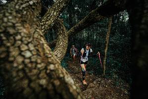 BIB: 
                            <button type="button" onclick="openModal(25698567)" class="btn btn-primary btn-sm float-right btn-popup" data-toggle="modal" data-target=".modal-high-quality">
                        <i class="fas fa-shopping-cart"></i> Add to Cart
                    </button>
                                            <button type="button" onclick="isThisMe(25698567, true)" class="btn btn-success btn-sm float-right btn-popup btn-isme hidden" data-toggle="tooltip" data-placement="bottom" title="นี่คือรูปของคุณใช่ไหม คลิกที่นี่เพื่อเอาเข้าอัลบั้ม">
                        <i class="fas fa-plus"></i> Add to album
                    </button>
                    <button type="button" onclick="isThisMe(25698567, false)" class="btn btn-warning btn-sm float-right btn-popup btn-isnotme hidden">
                        <i class="fas fa-ban"></i> Remove from album
                    </button>